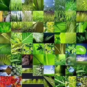 Vista Natural Green Collection