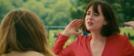 How to Be Single (2016)