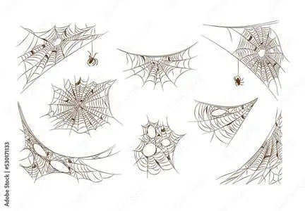Spooky Spider Web Illustrations 530171133