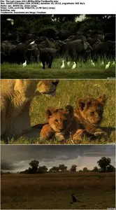 The Last Lions (2011)
