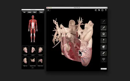 Heart Pro III v3.8 Mac OS X