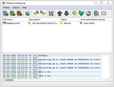 FTPGetter Professional 5.97.0.263 Multilingual Portable