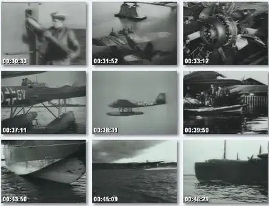 Wings of the Luftwaffe - 13 Sea Planes Sea Wings