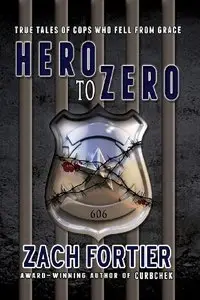 Hero To Zero, 2nd edition 