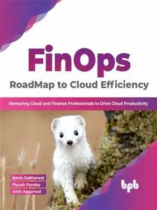 FinOps : RoadMap to Cloud Efficiency: Mentoring Cloud and Finance Professionals to Drive Cloud Productivity