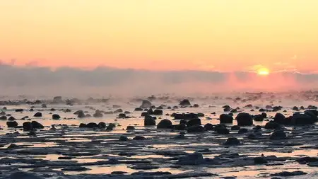 Polar Bears: A Summer Odyssey (2012)