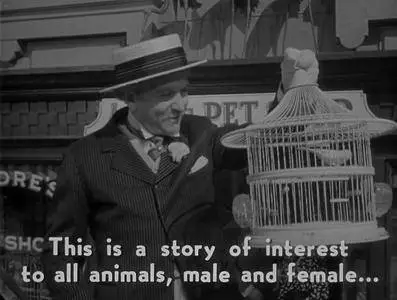 The Happy Time (1952)