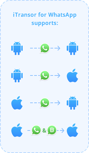 iMyFone iTransor for WhatsApp 4.1.0.8 Multilingual