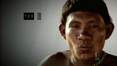 The Grammar Of Happiness (2013)