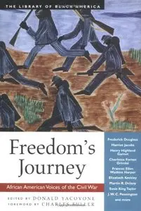 Freedom's Journey: African American Voices of the Civil War