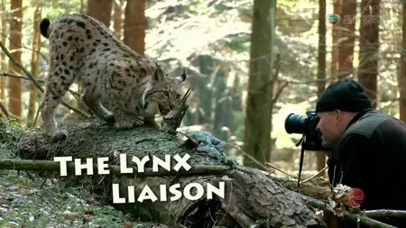 ORF - Universum: The Lynx Liaison (2010)