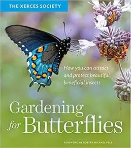 Gardening for Butterflies: How You Can Attract and Protect Beautiful, Beneficial Insects [Repost]