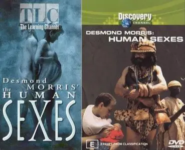 Discovery Channel - The Human Sexes (1997)