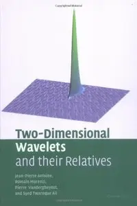 Two-Dimensional Wavelets and their Relatives (Repost)