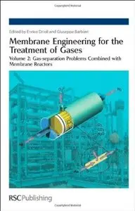 Membrane Engineering for the Treatment of Gases, Volume 2 