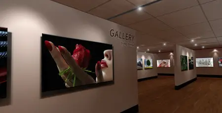 AE Virtual Gallery v 1.0 - Project for After Effects (VideoHive)