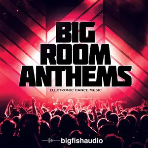 Big Fish Audio Big Room Anthems