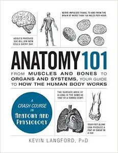 Anatomy 101: From Muscles and Bones to Organs and Systems, Your Guide to How the Human Body Works 