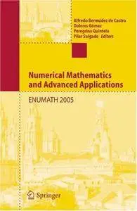 Numerical Mathematics and Advanced Applications (Repost)