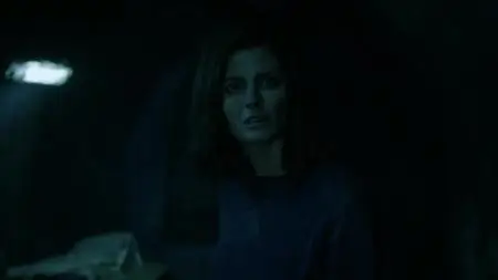 Absentia S01E10