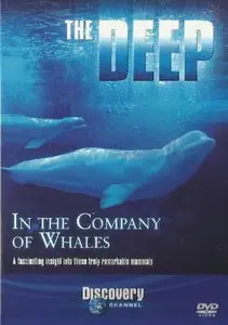Discovery Channel - The Deep 02of10 In the Company of Whales Part1