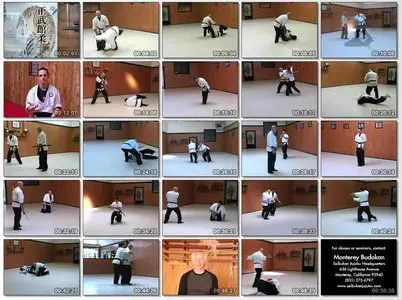 Introduction to Seibukan Jujutsu