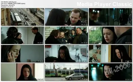 A Call Girl (2009)