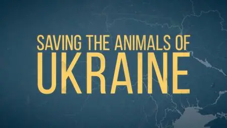 Saving the Animals of Ukraine (2024)