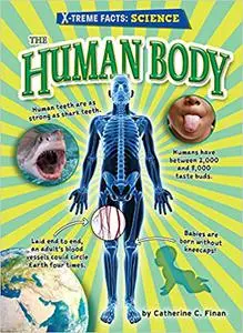 The Human Body (X-Treme Facts: Science)