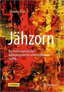 Jähzorn: Psychotherapeutische Antworten auf ein unberechenbares Gefühl, 3., erg. Aufl.