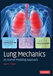 Lung Mechanics: An Inverse Modeling Approach [Repost]