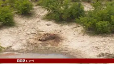 BBC - Botswana: Trouble in the Elephant Sanctuary (2019)