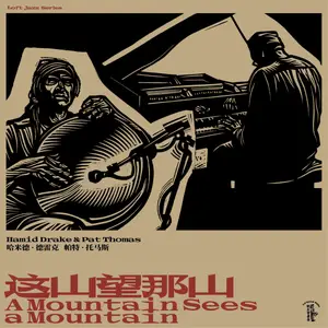 Hamid Drake & Pat Thomas - A Mountain Sees a Mountain (2025)
