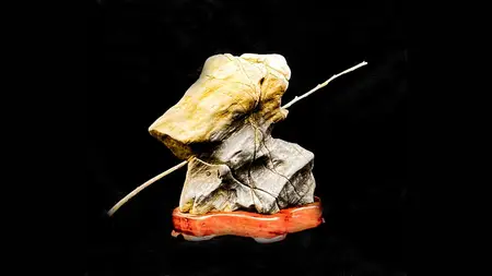 The Ancient Art of Suiseki Stones (Complete Suiseki Course)