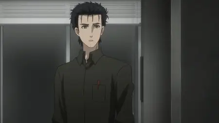 Steins;Gate 0 - 19 BD 1920x1080 x 264-10Bit Flac