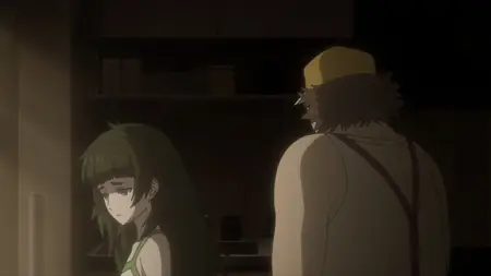 Steins;Gate 0 - 19 BD 1920x1080 x 264-10Bit Flac