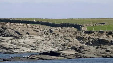 Wild Britain S01E06