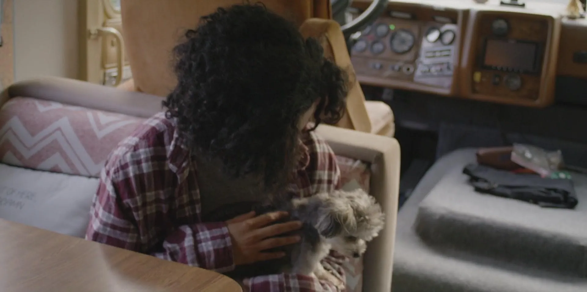 Dogs on the Sendero (2024)