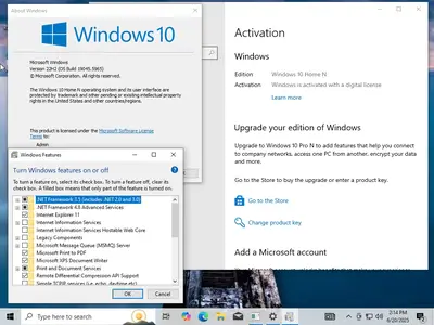 Windows 11 24H2 (No TPM Required) & Windows 10 22H2 AIO 32in1 Preactivated June 2025