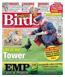 Cage & Aviary Birds - 14 May 2025