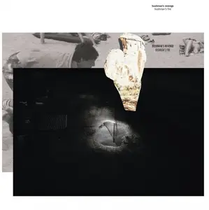 Bushman's Revenge - Bushman's Fire (2016)
