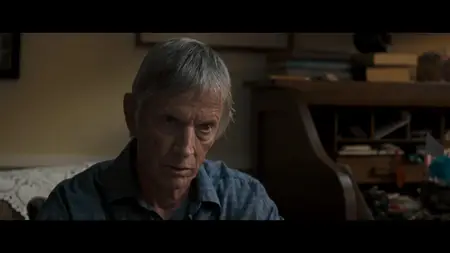 Nights in Rodanthe (2008)