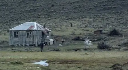 Vivan las Antipodas (2011)