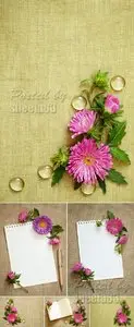 Stock Photo - Asters on Canvas