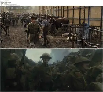 War Horse (2011)