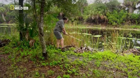 National Geographic Wild - Animal Superpowers - Extreme Hunters (2012)