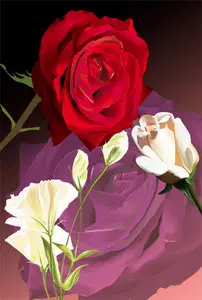 Vector Beautiful Flowers