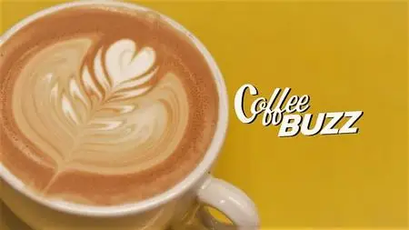 Curiosity TV - Coffee Buzz (2019)