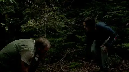 Breakout (2013)