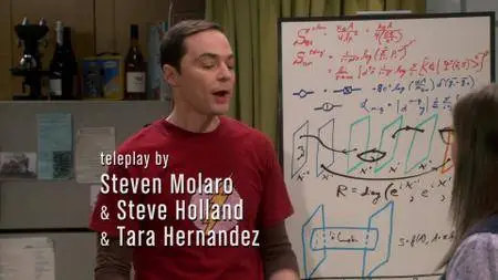 The Big Bang Theory S11E14